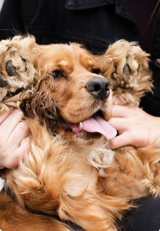 capture d’écran 2025 11 07 à 11.11.22