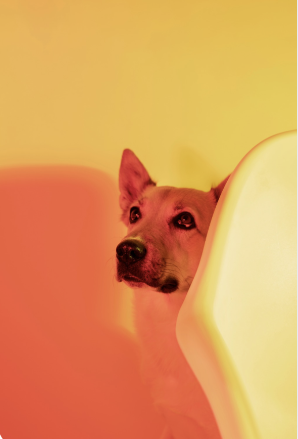 capture d’écran 2025 11 07 à 11.11.50