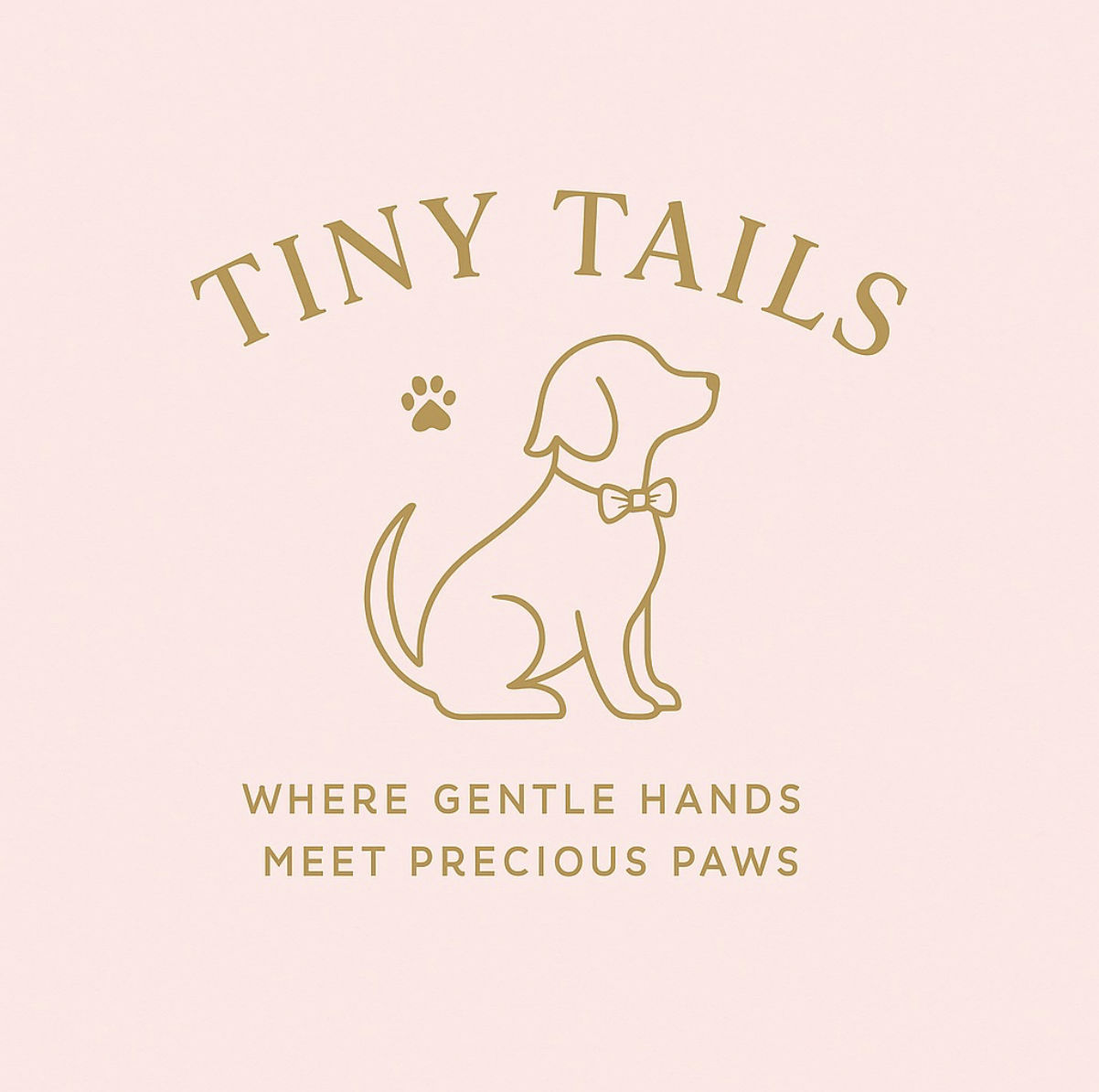 capture d’écran 2025 11 07 à 12.09.11